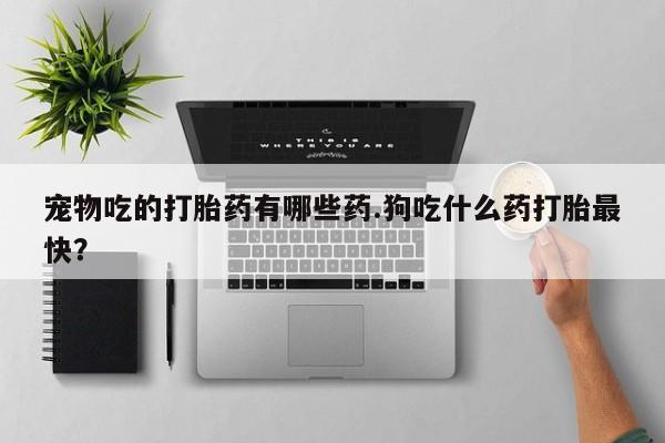 私人打胎药专卖联系微信宠物吃的打胎药有哪些药.狗吃什么药打胎最快？